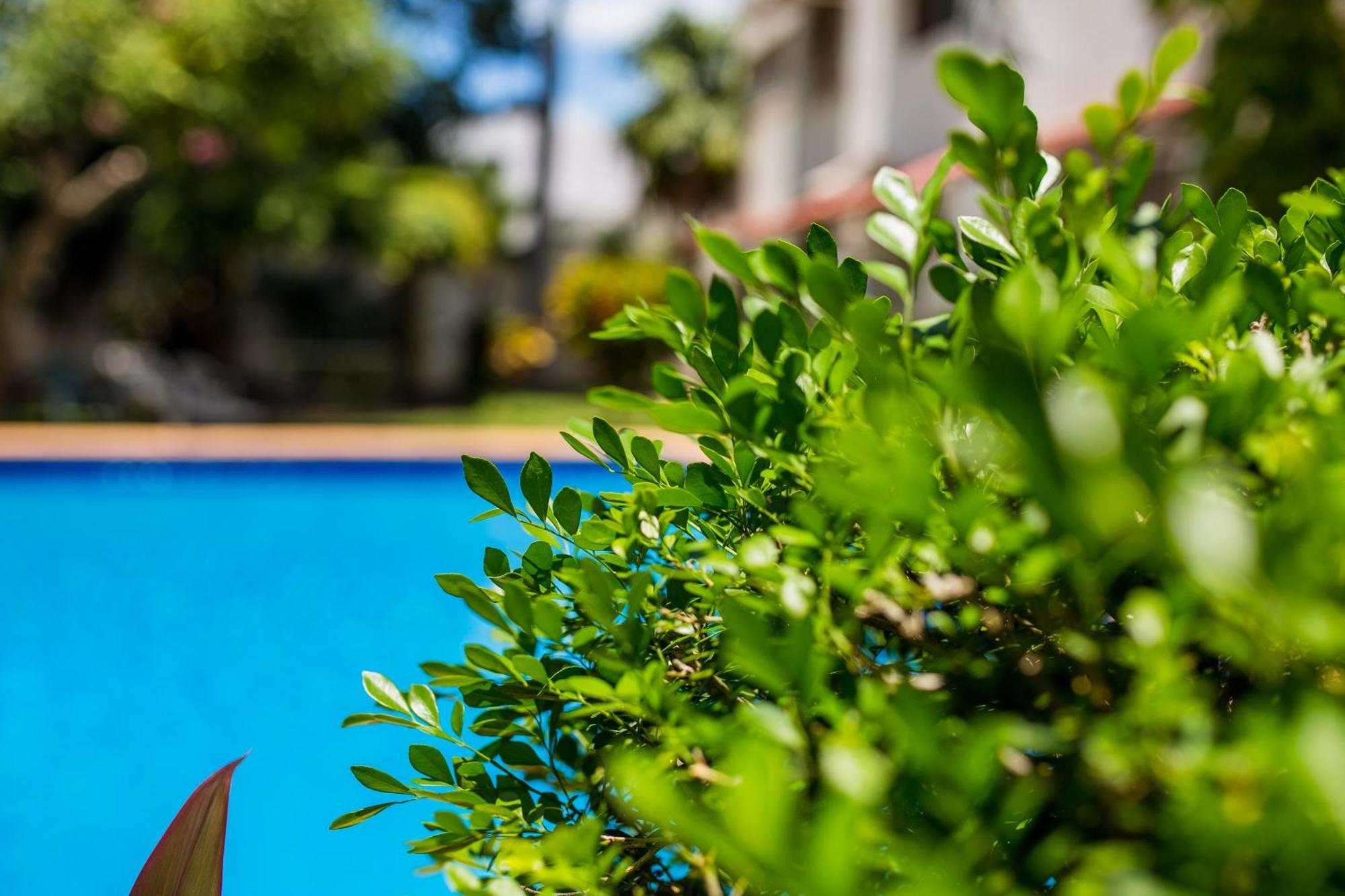 Casa Blanca Boutique & Organic Bed & Breakfast Cancun Exterior photo